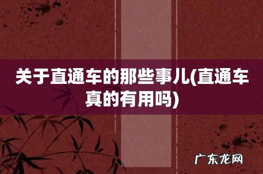 直通车真的有用吗 关于直通车的那些事儿
