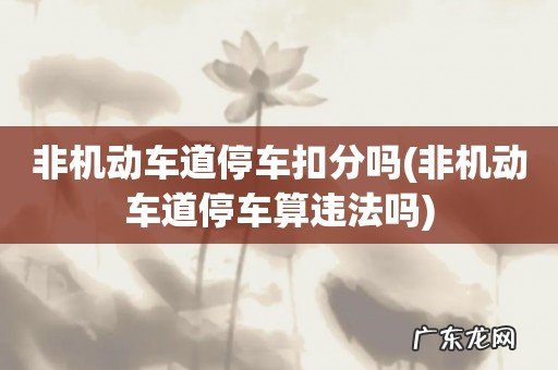 非机动车道停车算违法吗 非机动车道停车扣分吗