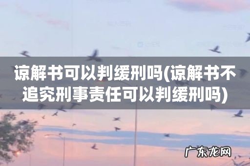 谅解书不追究刑事责任可以判缓刑吗 谅解书可以判缓刑吗