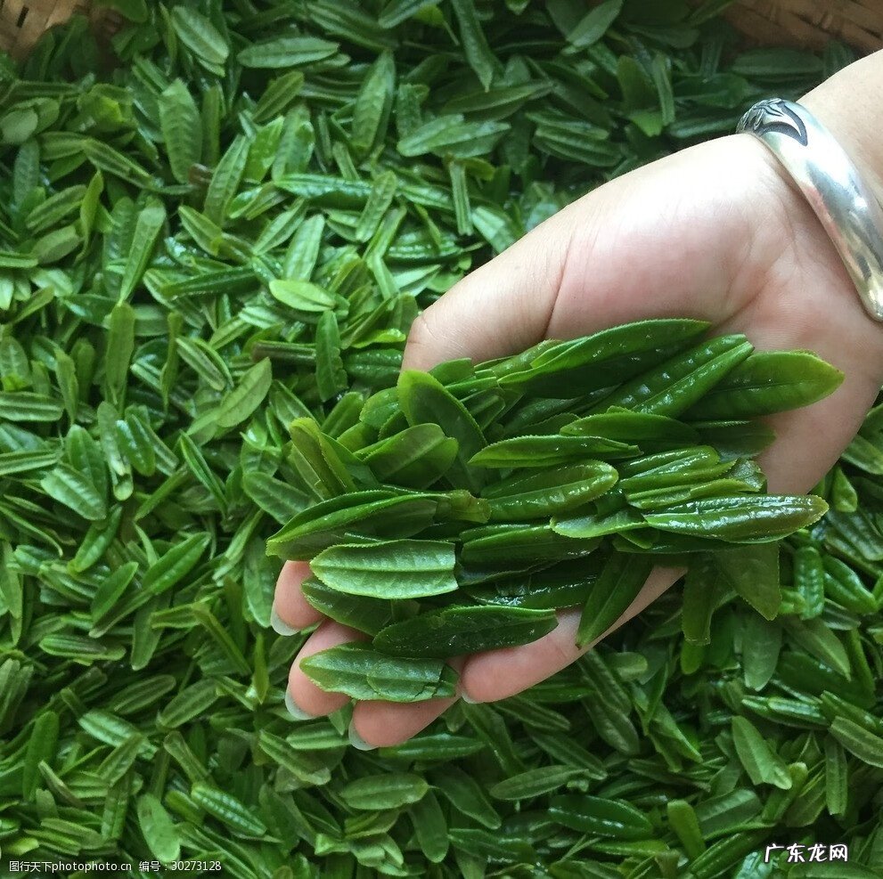 安徽最好吃的特产 安徽有什么特产吗