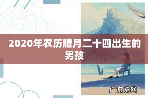 2020年农历腊月二十四出生的男孩