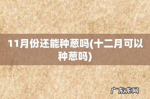 十二月可以种葱吗 11月份还能种葱吗
