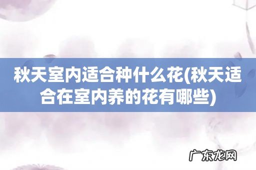 秋天适合在室内养的花有哪些 秋天室内适合种什么花