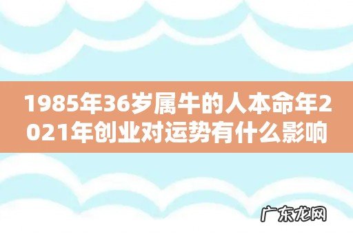 1985年36岁属牛的人本命年2021年创业对运势有什么影响