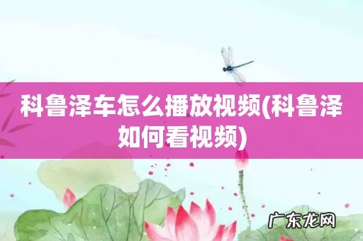 科鲁泽如何看视频 科鲁泽车怎么播放视频