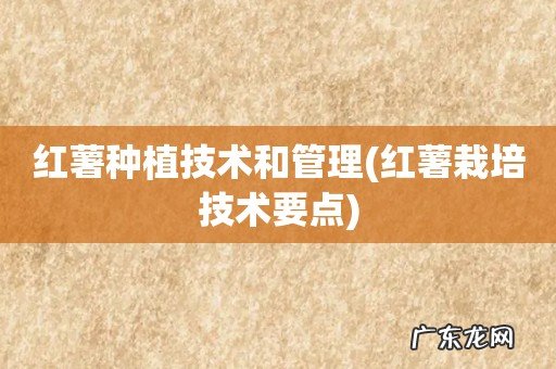 红薯栽培技术要点 红薯种植技术和管理