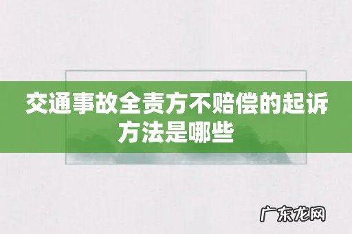 交通事故全责方不赔偿的起诉方法是哪些