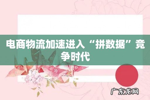 电商物流加速进入“拼数据”竞争时代