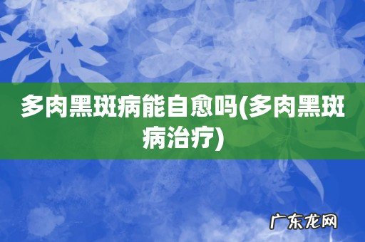 多肉黑斑病治疗 多肉黑斑病能自愈吗