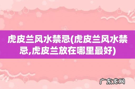 虎皮兰风水禁忌,虎皮兰放在哪里最好 虎皮兰风水禁忌