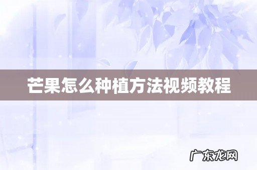 芒果怎么种植方法视频教程