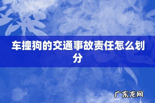 车撞狗的交通事故责任怎么划分