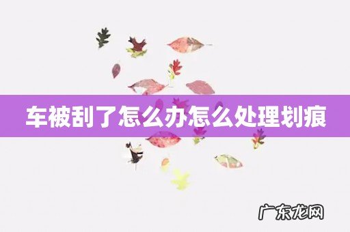 车被刮了怎么办怎么处理划痕