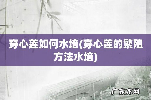 穿心莲的繁殖方法水培 穿心莲如何水培