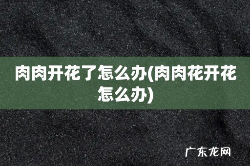 肉肉花开花怎么办 肉肉开花了怎么办
