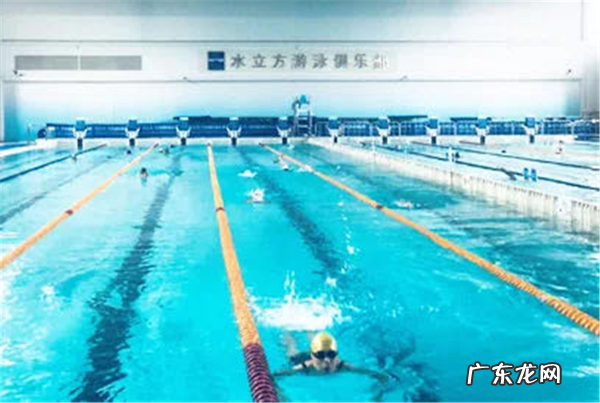 水立方有几个游泳池 水立方游泳馆