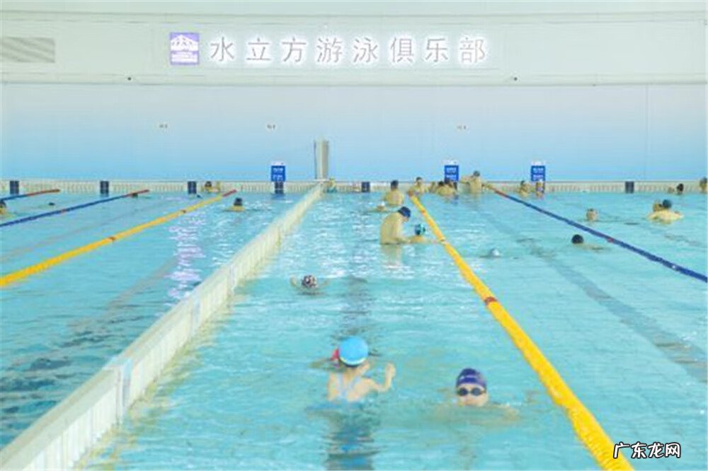 水立方有几个游泳池 水立方游泳馆