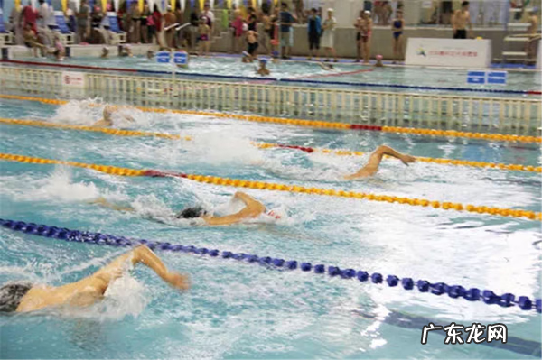 水立方有几个游泳池 水立方游泳馆