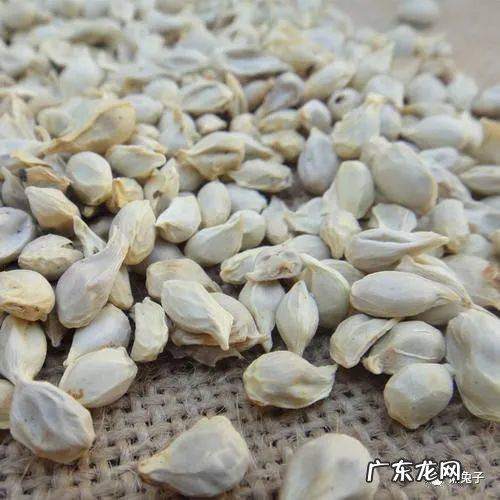 一味青皮即可治疗乳房包块