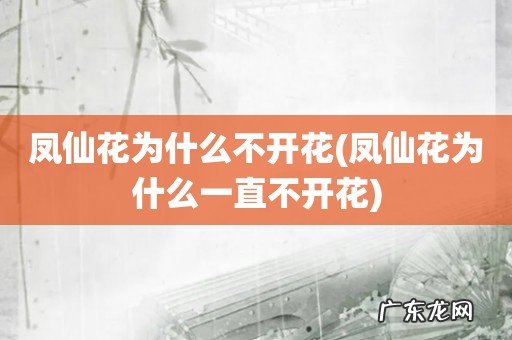 凤仙花为什么一直不开花 凤仙花为什么不开花