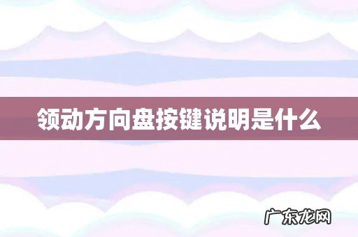 领动方向盘按键说明是什么