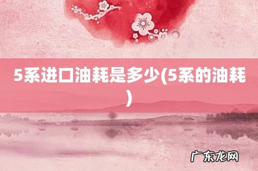 5系的油耗 5系进口油耗是多少