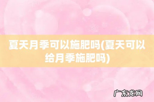 夏天可以给月季施肥吗 夏天月季可以施肥吗