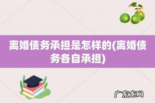 离婚债务各自承担 离婚债务承担是怎样的