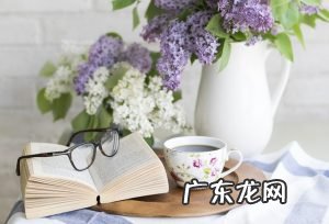 并没有画画基础如何自学