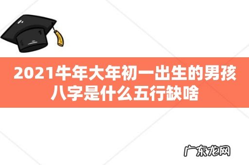 2021牛年大年初一出生的男孩八字是什么五行缺啥