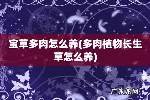 多肉植物长生草怎么养 宝草多肉怎么养