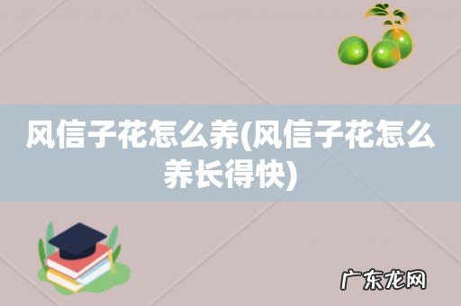 风信子花怎么养长得快 风信子花怎么养