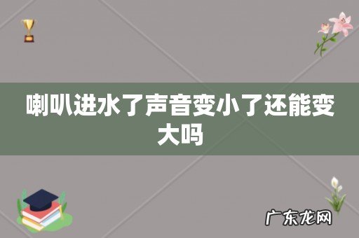 喇叭进水了声音变小了还能变大吗