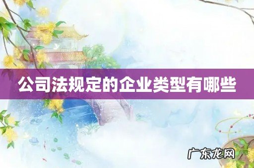公司法规定的企业类型有哪些