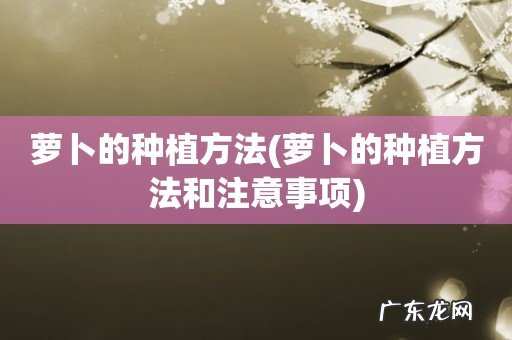 萝卜的种植方法和注意事项 萝卜的种植方法