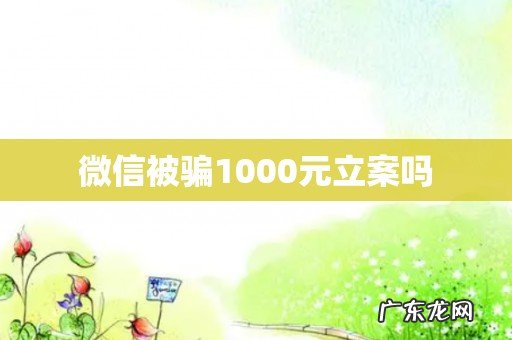 微信被骗1000元立案吗