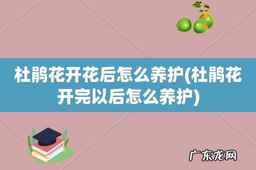 杜鹃花开完以后怎么养护 杜鹃花开花后怎么养护