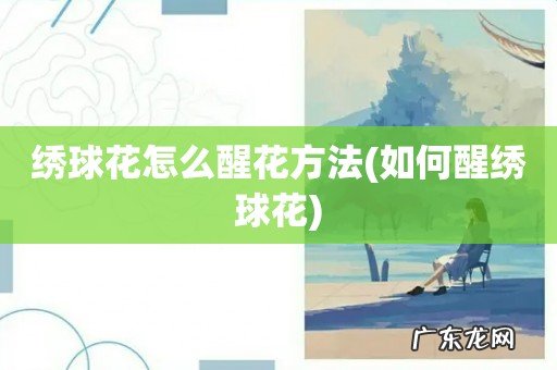 如何醒绣球花 绣球花怎么醒花方法