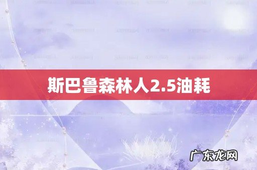 斯巴鲁森林人2.5油耗