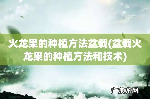 盆栽火龙果的种植方法和技术 火龙果的种植方法盆栽