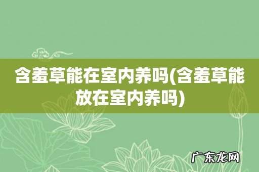 含羞草能放在室内养吗 含羞草能在室内养吗