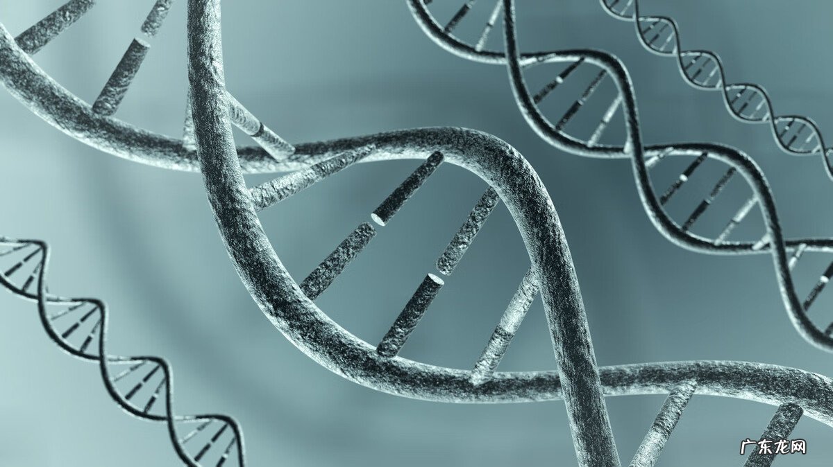 怎样预防乳腺癌的发生 咋样预防乳腺癌