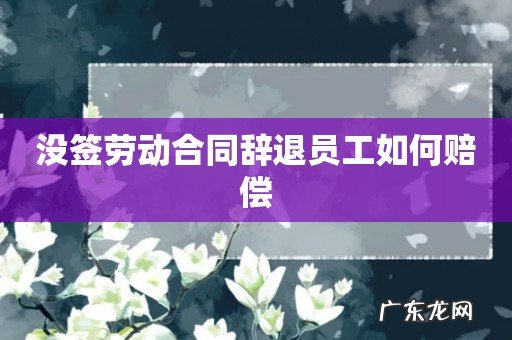 没签劳动合同辞退员工如何赔偿