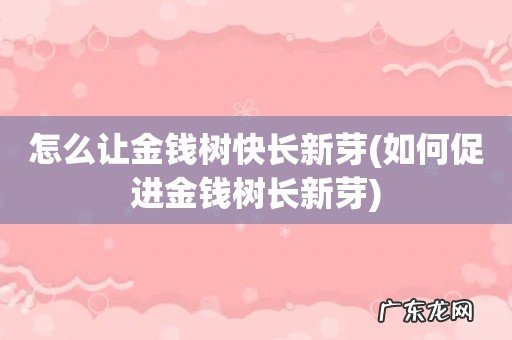 如何促进金钱树长新芽 怎么让金钱树快长新芽