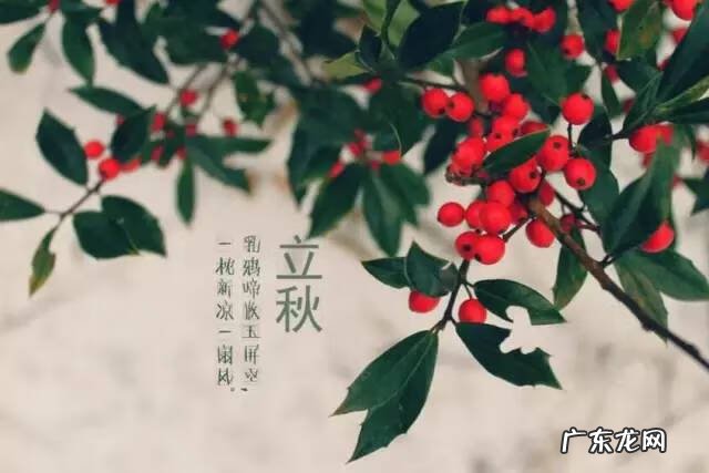 伏天的推算方法 一般伏天怎么算