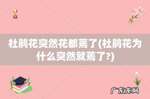 杜鹃花为什么突然就蔫了? 杜鹃花突然花都蔫了