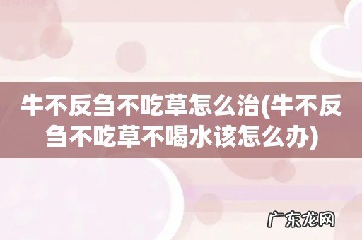 牛不反刍不吃草不喝水该怎么办 牛不反刍不吃草怎么治
