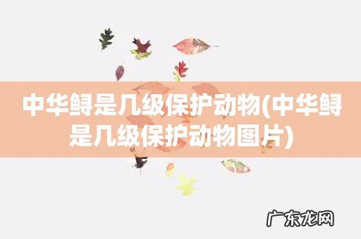 中华鲟是几级保护动物图片 中华鲟是几级保护动物