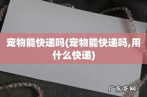 宠物能快递吗,用什么快递 宠物能快递吗