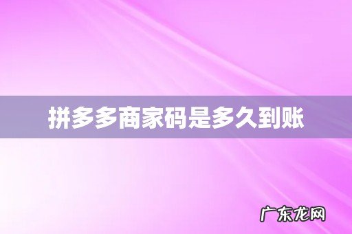 拼多多商家码是多久到账